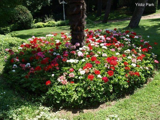 Yildiz Park